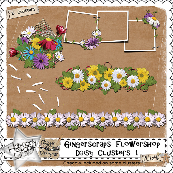 GingerScraps Flowershop - Daisy Clusters 1