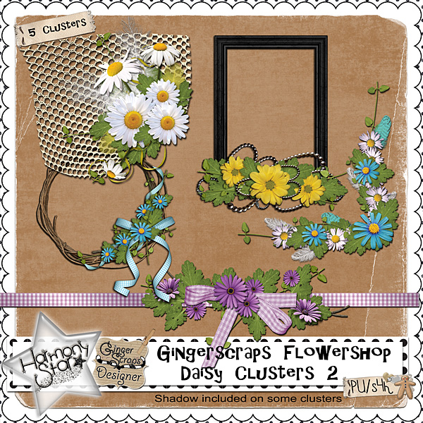 GingerScraps Flowershop - Daisy Clusters 2
