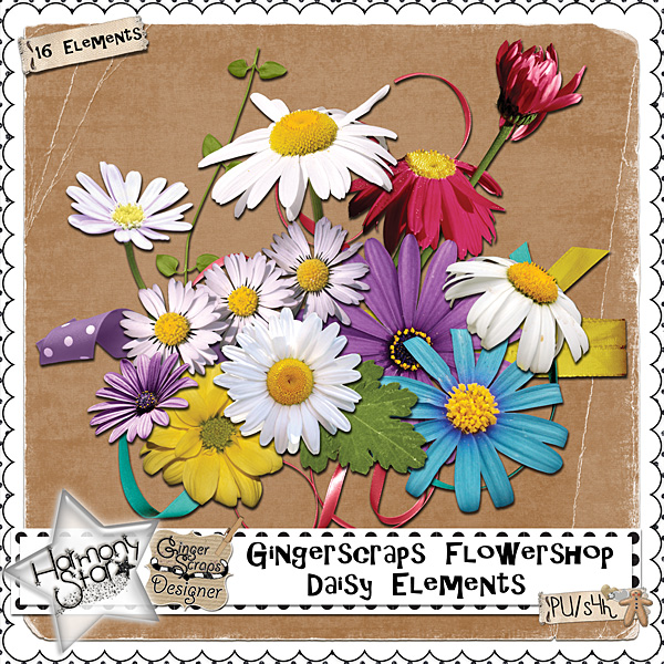 GingerScraps Flowershop - Daisy Elements
