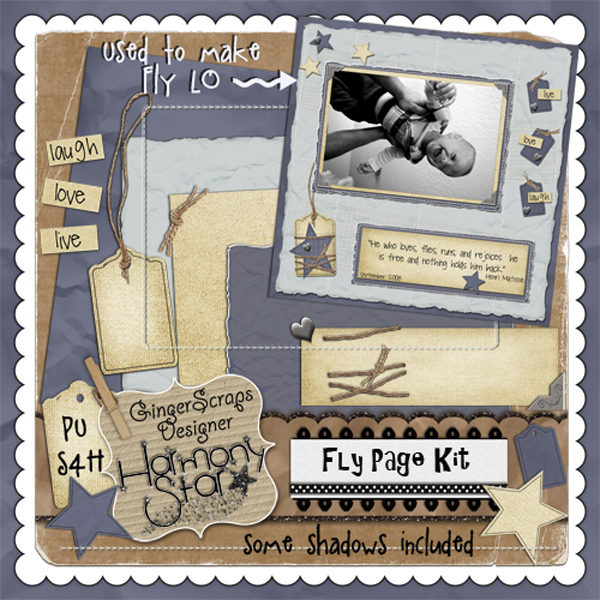 Fly Page Kit