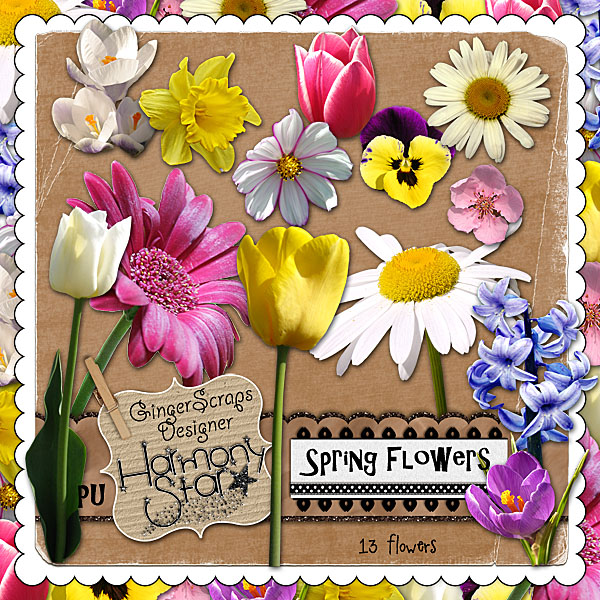 Spring Flowers