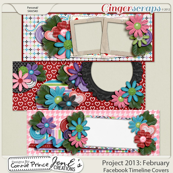 Project 2013: February - Facebook Timeline Covers