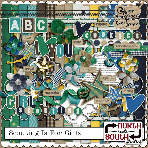 Scouting Is For Girls Kit