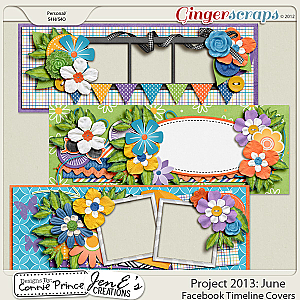 Project 2013: June - Facebook Timeline Covers