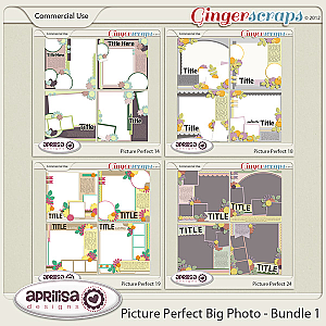 Picture Perfect Big Photos Bundle 1