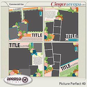Picture Perfect 40