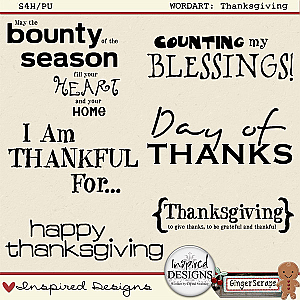 THANKSGIVING: Wordart by Inspired Designs