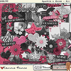 Sparkle & Shine - Kit