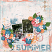 layout for Hey summer