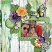 Layout Created By : Pippin