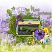 layout for New Journey-{April}