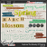 GS-Capturethebeautyofspring-wa