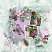 layout for NewJourney-{June}
