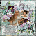 layout for NewJourney-{June}