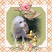 Just Bunny Fun by ADB Designs Digital Art Layout by Dana