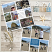 Sean