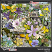 GS-cwd-SecretGarden-kit