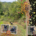 Paint Chips Fall Floral by Connie Prince