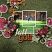 Layout Created By : AmaneseFe