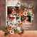 layout for DancingOnTheTreetops