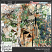 GS-cwd-FungusAmongUs-artsy