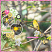 Beautiful Morning by ADB Designs Digital Art Layout by Renee