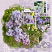 Layout Created By : bkasko
