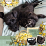 Paint Chips What's Up Buttercup? By Connie Prince