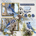 Winter Bluejays by ADB Designs Digital Art Layout by Maureen