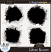 Winter Bluejays Digital Scrapbook Masks Preview by ADB Designs