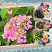 Layout Created By : lilholmes6