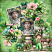 Layout art created by janik