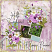 layout for In spring, often...