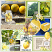 Layout using Sunshine and Lemonade 
