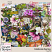GS-cwd-Celebrate-Spring--kit