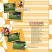 Layout Created By : beatricemi
