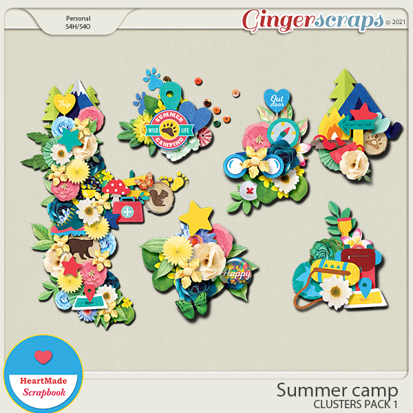 HMS_SummerCamp_clusters1_GS.jpg