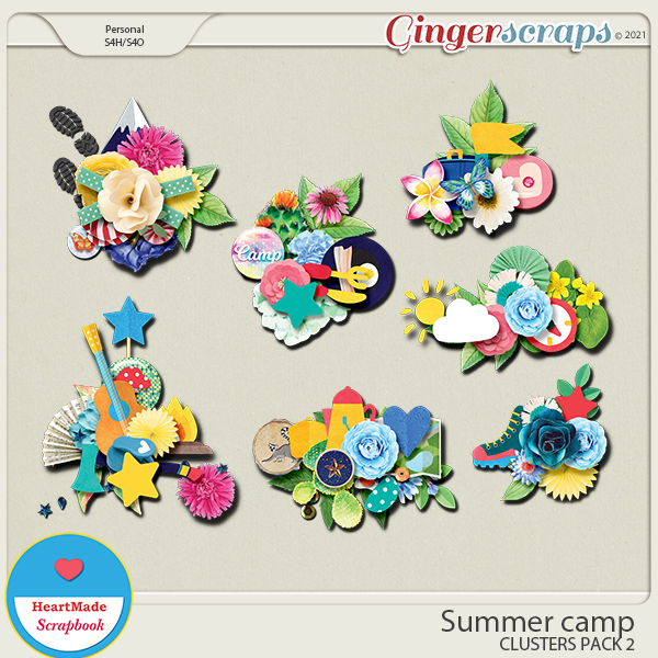 HMS_SummerCamp_clusters2_GS.jpg