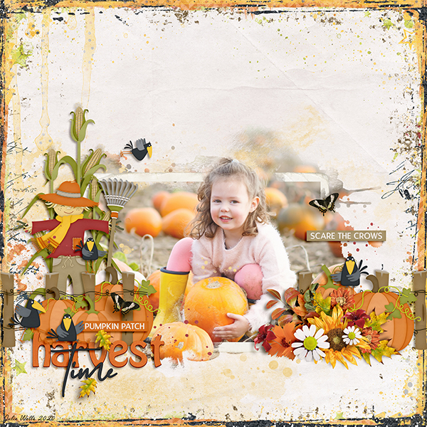 Julie_ScareTheCrows_600-03.jpg