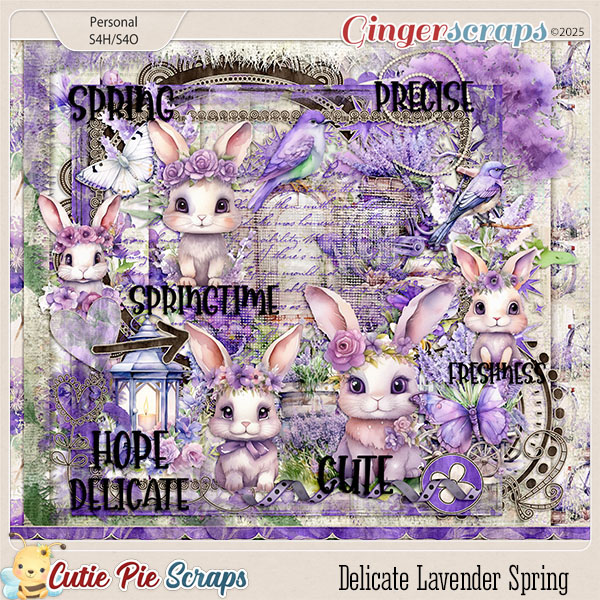 Delicate Lavender Spring Combo Pack