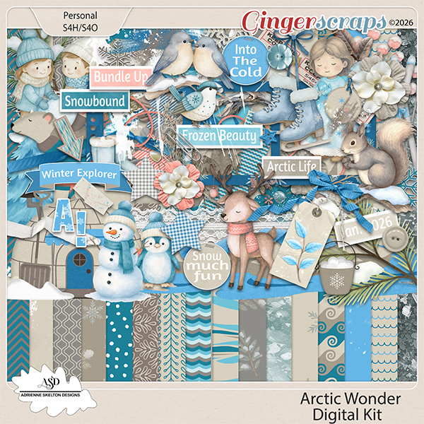 Arctic Wonder Kit- By Adrienne Skelton Design  