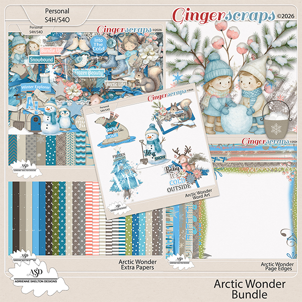 Arctic Wonder Bundle- By Adrienne Skelton Design 