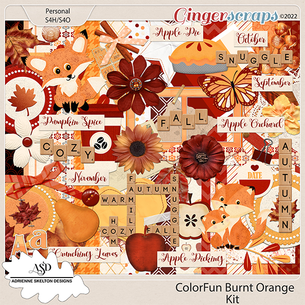 Color Fun Burnt Orange - by Adrienne Skelton Designs