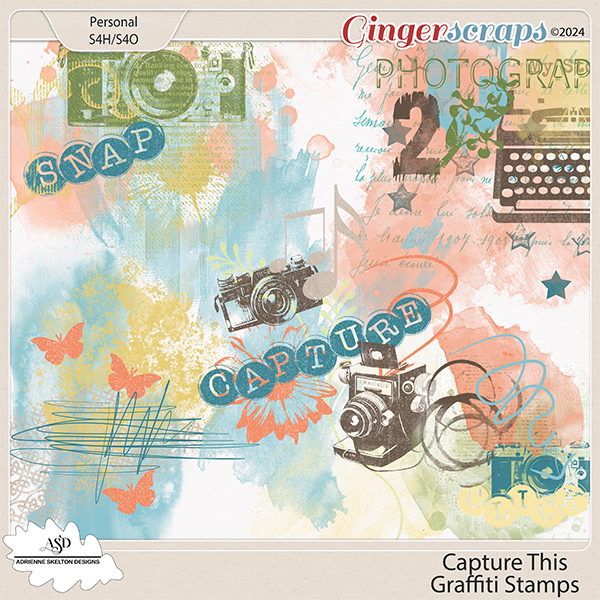 Capture This Graffiti by Adrienne Skelton Designs 