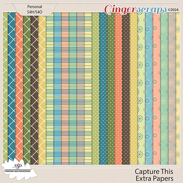 Capture This Extra Papers by Adrienne Skelton Designs  