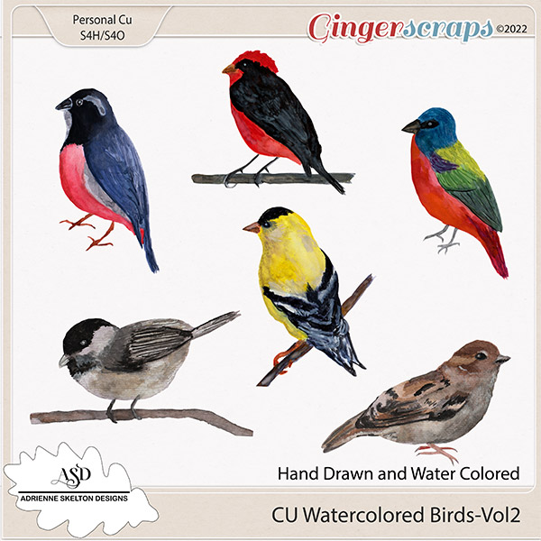 CU Water Colored Birds-Vol2-By Adrienne Skelton Designs 