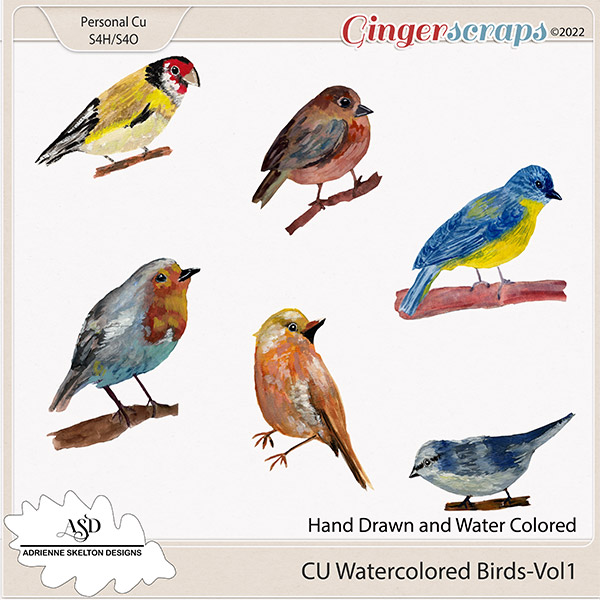 CU Water Colored Birds-Vol1-By Adrienne Skelton Designs