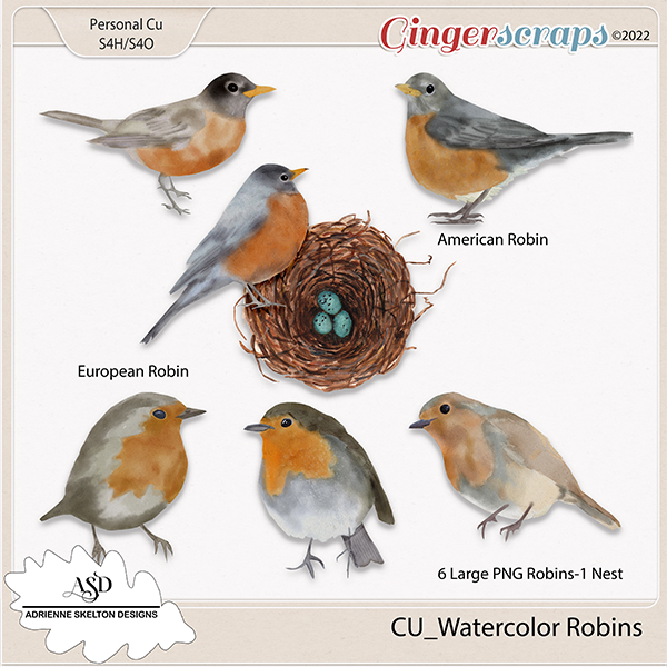 Cu Water Colored Robins By Adrienne Skelton Designs