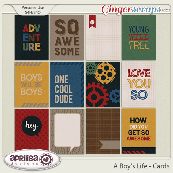 A Boy's Life - Cards by Aprilisa Designs