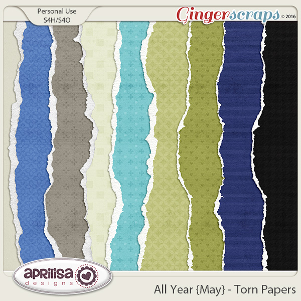 Aprilisa_AllYearMAY_TornPp.jpg